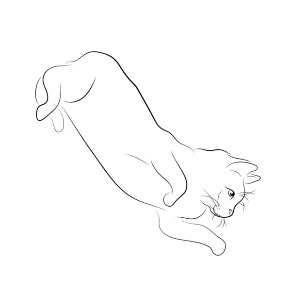 Векторная Иллюстрация Эскиз Котенка — стоковый вектор