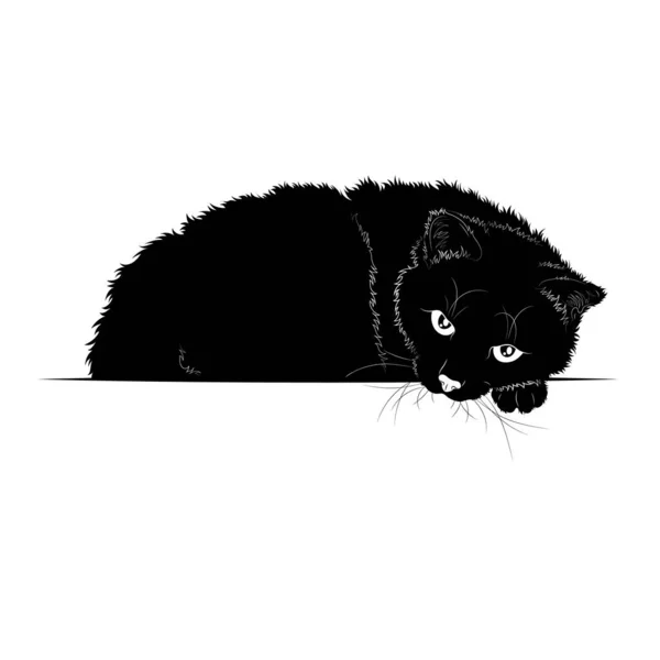 Illustration Vectorielle Silhouette Noire Cat Eps Couché — Image vectorielle