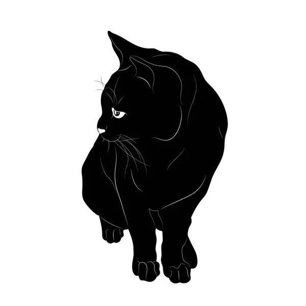 Tatuaje De La Pataストックベクター ロイヤリティフリーtatuaje De La Pataイラスト ページ 13 Depositphotos