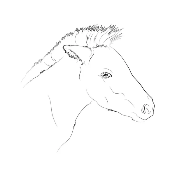 Vector Illustratie Schets Van Het Paard Eps — Stockvector