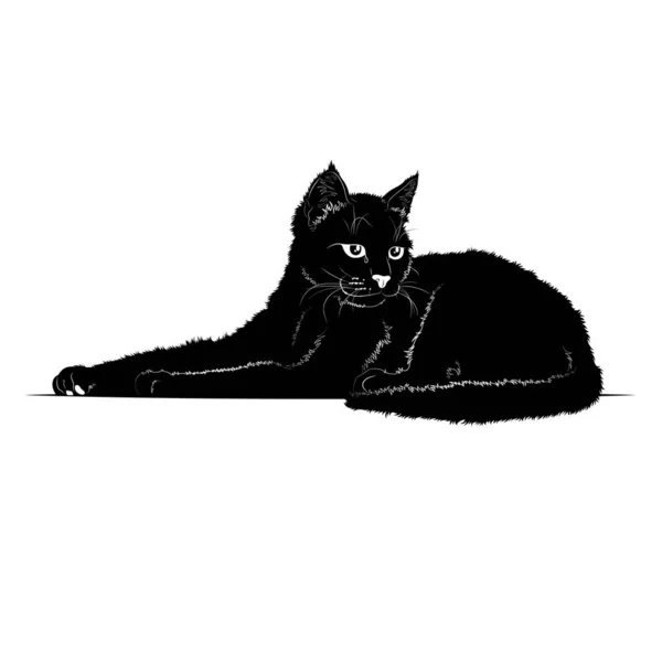 Illustration Vectorielle Silhouette Noire Chat Domestique Isolé Sur Fond Blanc — Image vectorielle