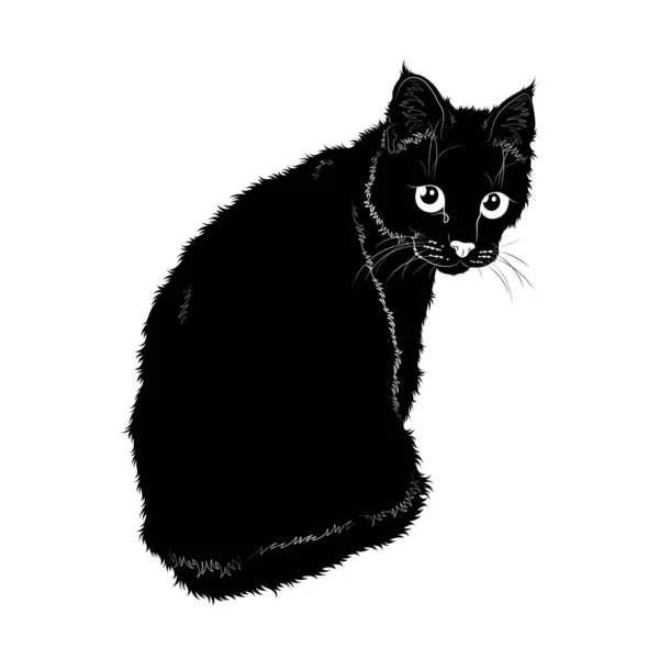 Ilustración Vectorial Silueta Negra Gato Doméstico Aislado Sobre Fondo Blanco — Vector de stock