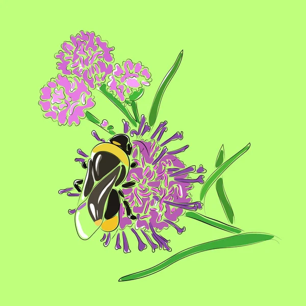 Ilustracja Wektorowa Bumblebee Kwiaty Pola Eps — Wektor stockowy