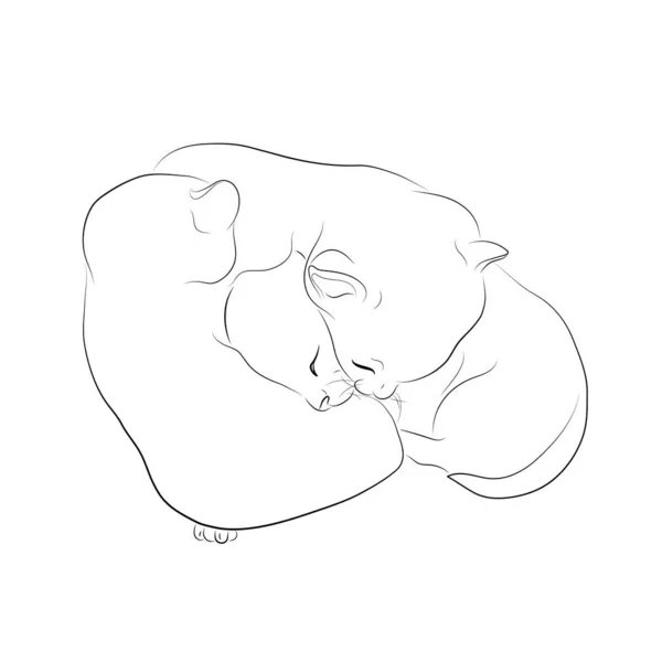 Ilustração Vetorial Esboço Dormir Kittens Eps —  Vetores de Stock