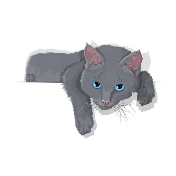Vektorová Ilustrace Domácího Šedého Kočky Izolovaná Bílém Pozadí Eps — Stockový vektor