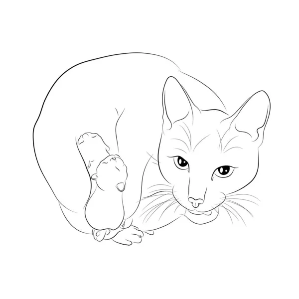 Векторні Ілюстрації Ескіз Кота Кошенятами Eps — стоковий вектор