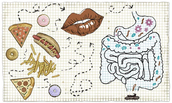 Pizza ve dışkı ile sindirim döngüsü mizahi Illustration. Klasik çizim tarzı kağıt üzerinde