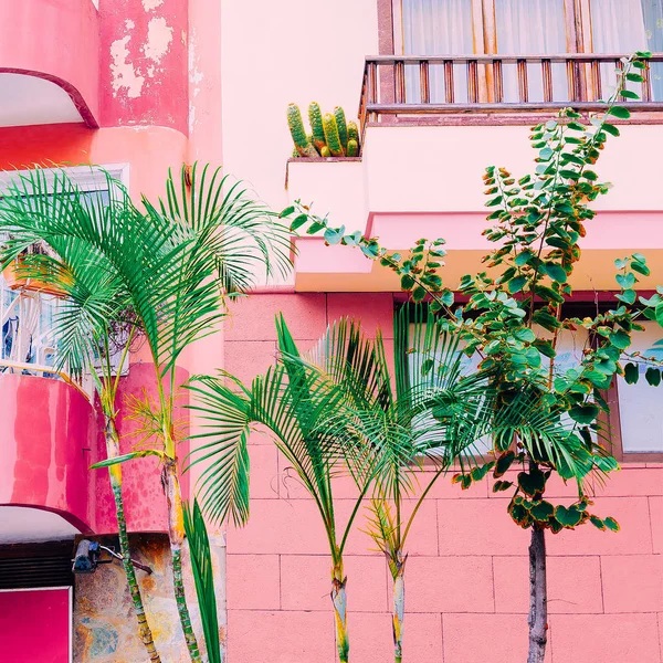 Plant Pink Pink Mood Tropical Green Fashion — Stock Photo, Image