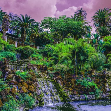 Tropikal yeşil konum. Kanarya Adası seyahat vibes