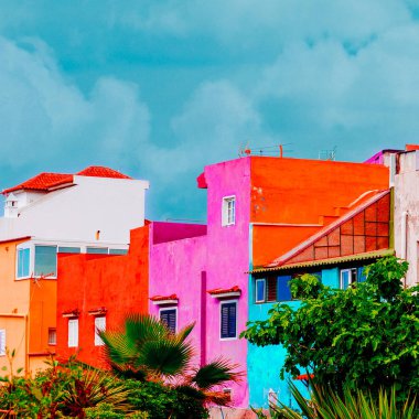 Renkli kanarya hayatı. Kanarya Adası. Moda seyahat kavramı