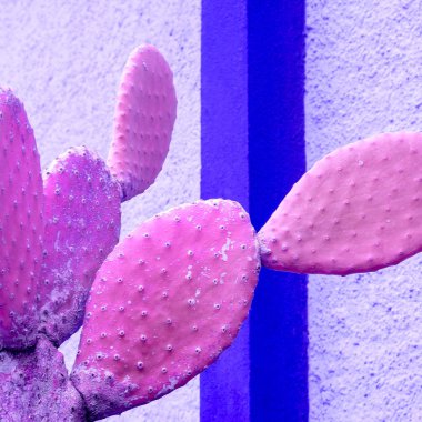 Neon Violet Cactus. Minimal design clipart