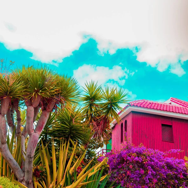 Ilha Canária Humor Colorido Tropical — Fotografia de Stock