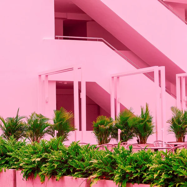 Plant and geometry. Minimal pink. Plants on pink concept. Fashion art