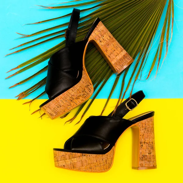 Boty Pata Pro Dámu Letní Vzhled Elegantní Sandály — Stock fotografie