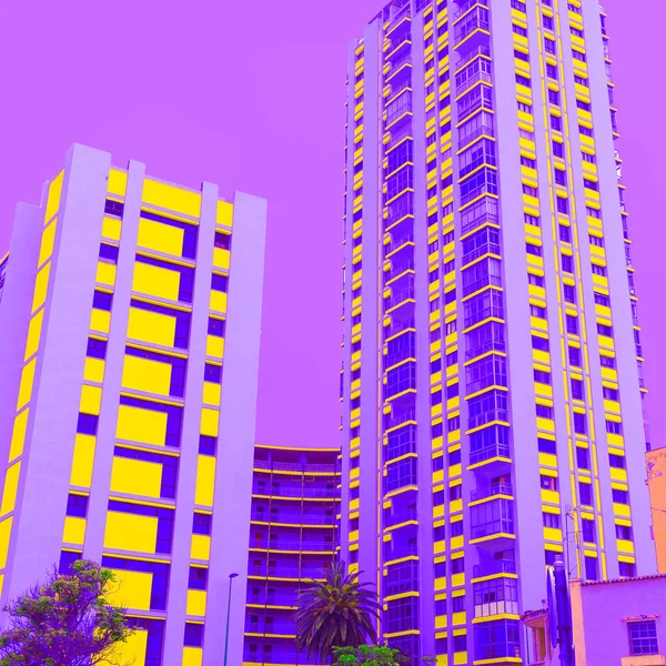 Hotel Palmen Minimale Kleurrijke Moderne Kunst — Stockfoto