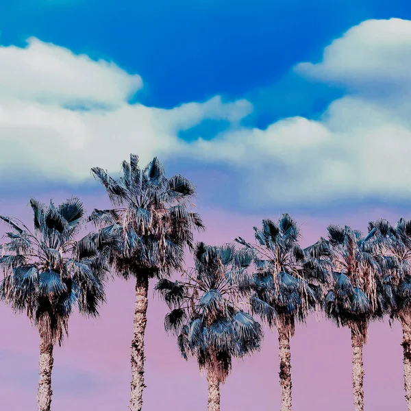 Purple Tropical Beach Dreams Palm Colorful Art — Stock Photo, Image