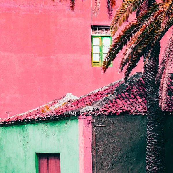 Ροζ Ελάχιστη Outdors Ταξίδια Καναρίνι Νησί — Φωτογραφία Αρχείου