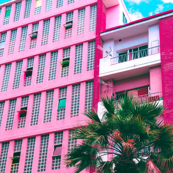 Tropická Růžové Vibrace Tropická Městské Lokality Cestách Kanárské Ostrovy — Stock fotografie