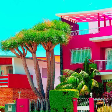 Renkli tropikal konum. Kanarya Adası. Kavram lofe renkli