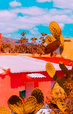 Kanarya Adası. Seyahat Paradise. Tropikal görünüm