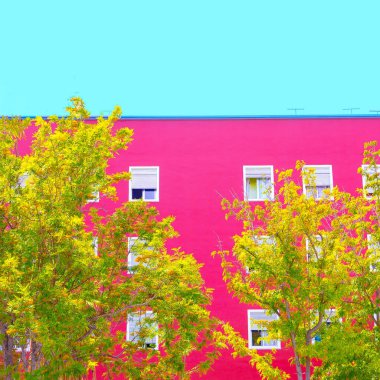 Bitki pembe kavramı üzerinde. En az bitki sanat. Renkli tasarım