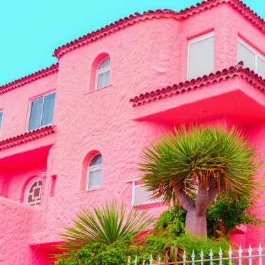 Tropikal pembe şeker konum. Bitki pembe kavramı üzerinde. Vibes seyahat. Kanarya Adası