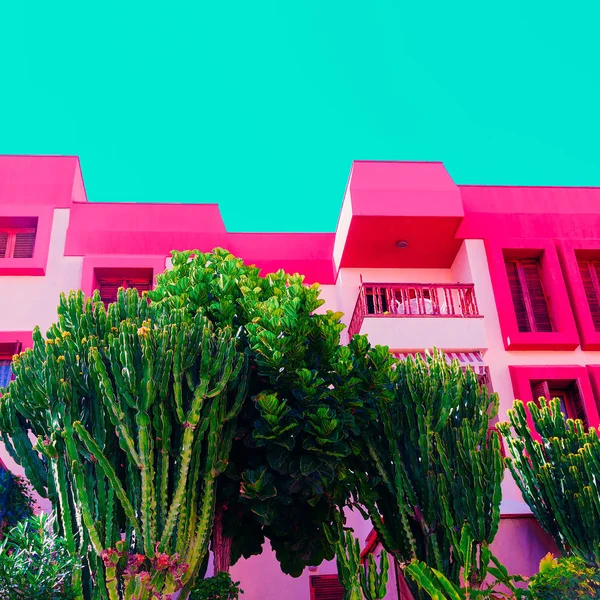 Тропическое Место Растения Розовой Концепции Минимальное Искусство — стоковое фото