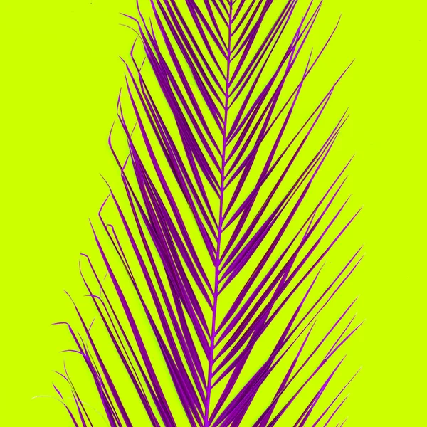 Palm Leaf Πολύχρωμα Ελάχιστη Τέχνης — Φωτογραφία Αρχείου
