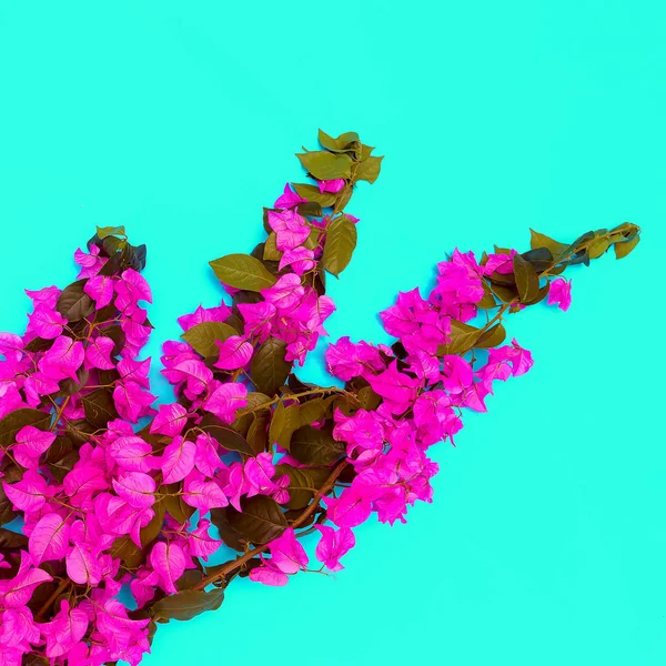 Tropical Flowers Blue Background Minimal Fashion — Stock Photo, Image