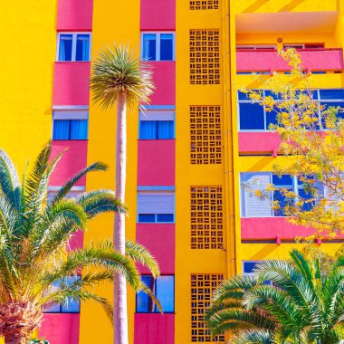 Renkli tropikal vibes. Palm. Kanarya Adası
