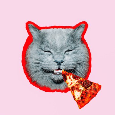 Çağdaş sanat kolaj. En az pizza sevgilisi kavramı. Pizza ve komik kedi.
