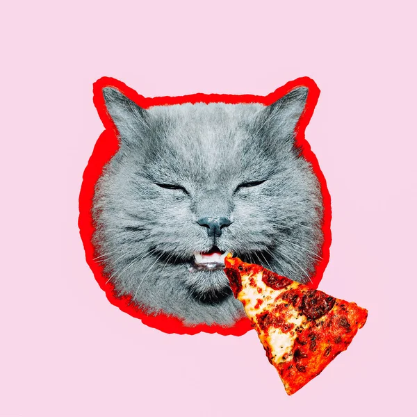 当代艺术拼贴画 最小的比萨爱好者的概念 比萨饼和滑稽的猫 — 图库照片