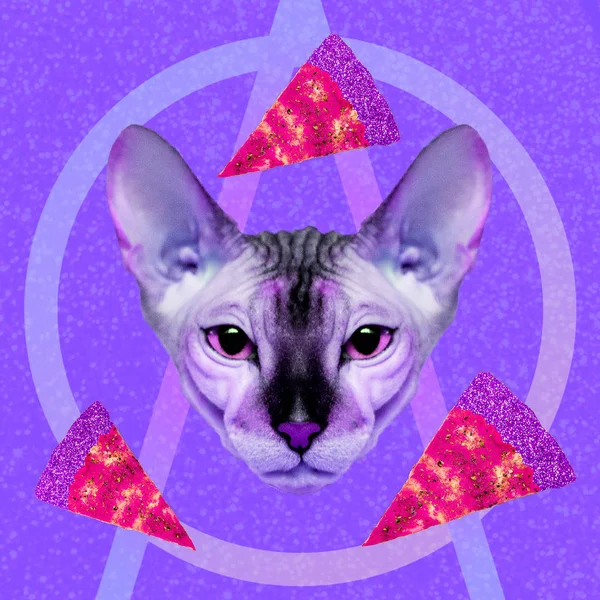 Contemporary Visual Art Collage Minimal Concept Pizza Lover Cosmic Cat — Stock Photo, Image