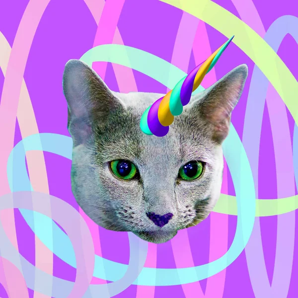 Çağdaş Eğlenceli Sanat Kolaj Kavramı Rüya Sevgilisi Kedi Tek Boynuzlu — Stok fotoğraf