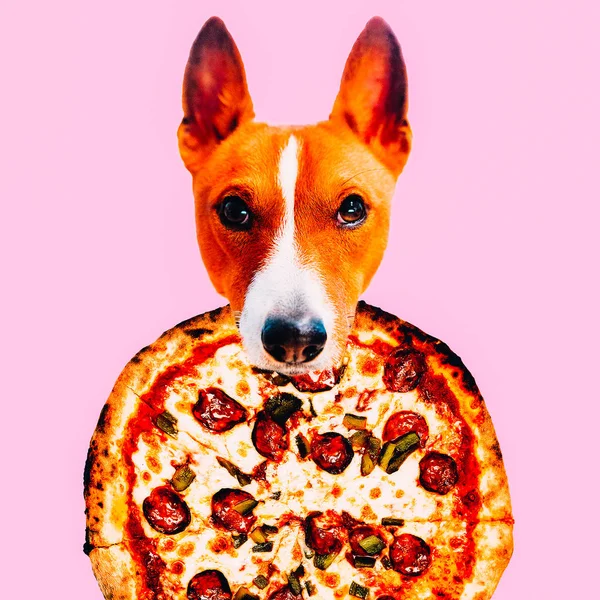 Contemporary Visual Art Collage Minimal Concept Head Dog Pizza — Stock Photo, Image