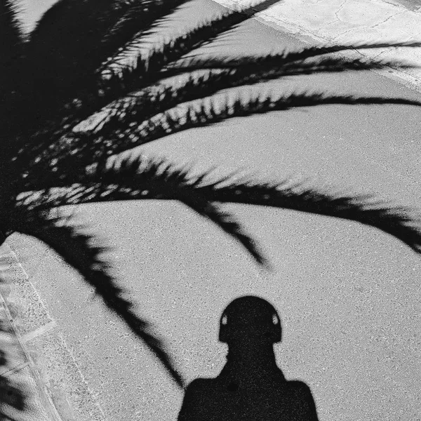 Palm and man shadows. Minimal tropical vibes