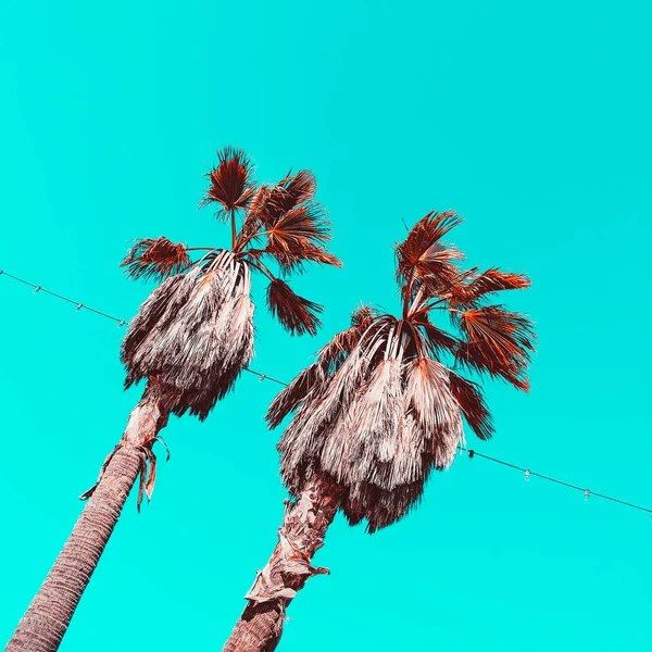 Palm Kanarya Adası Moda Seyahat Kavramı — Stok fotoğraf