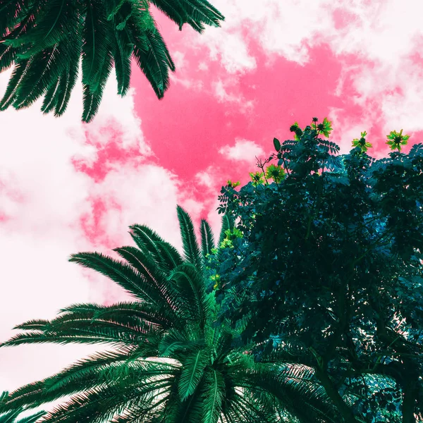 Tropical palm vibes. Colorful art