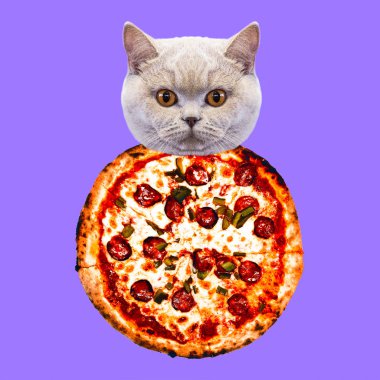 Pizza kedi. Çağdaş en az kolaj. Komik Fast food sanat projesi