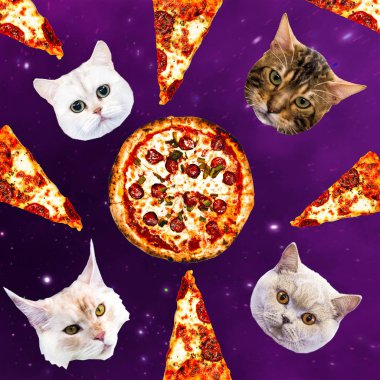 Uzay pizza içinde cats. Çağdaş en az kolaj. Komik Fast food sanat projesi
