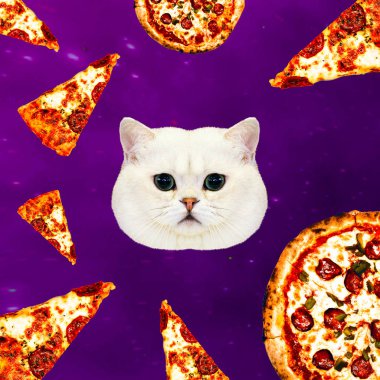 Kedi pizza evrende. Çağdaş en az kolaj. Komik Fast food sanat projesi