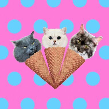 Kedi dondurma karışımı. Çağdaş sanat kolaj. Komik Fast food proje
