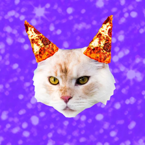 Kočičí Milovník Pizzy Současné Umění Koláž Minimální Projektu Srandovní Rychlé — Stock fotografie