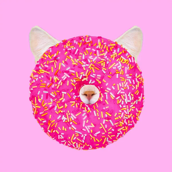 Донорський Кіт Пончик Вібрує Сучасне Мистецтво Колаж Смішний Проект Фастфуду — стокове фото