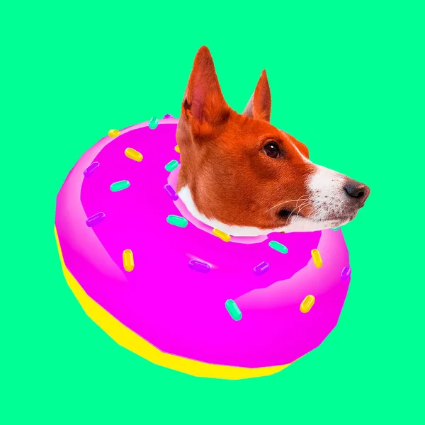 Donut Dog Amante Donuts Colagem Arte Contemporânea Projeto Engraçado Fast — Fotografia de Stock