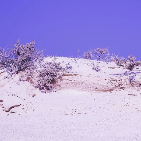 Minimális Sivatagi Táj Utazás Vibes Kanári Szigeten — Stock Fotó