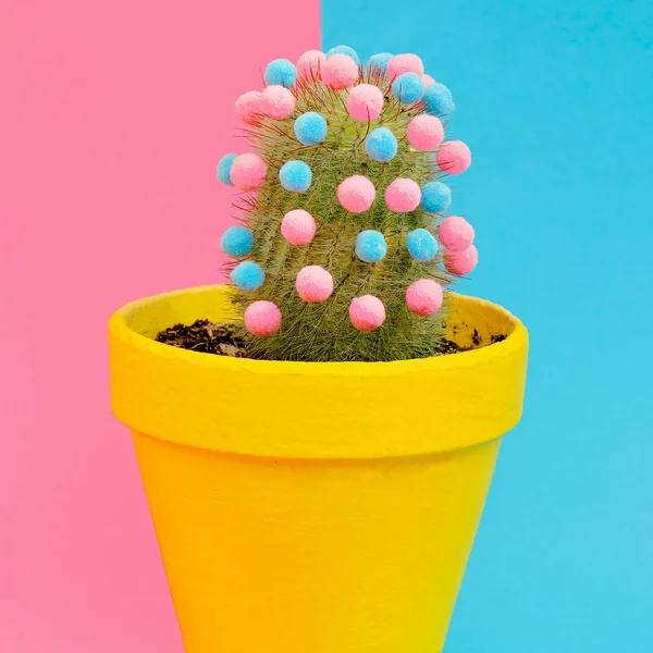 Kerstmis Cactus Boom Het Idee Van Hipster Tropische Kerstmis Candy — Stockfoto