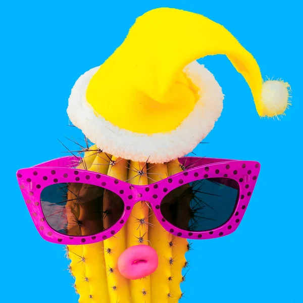 Cactus Hipster Navidad Fiesta Tropical Concepto Navidad — Foto de Stock