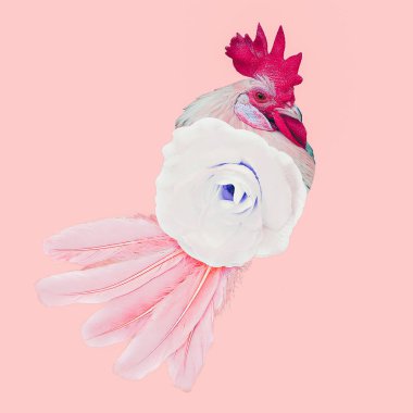 Çağdaş minimal sanat kolaj. Horoz çiçek başkalaşım. Görsel moda sanat