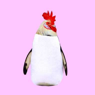 Çağdaş sanat kolaj. Penguen veya horoz başkalaşım. En az tasarım kavramı